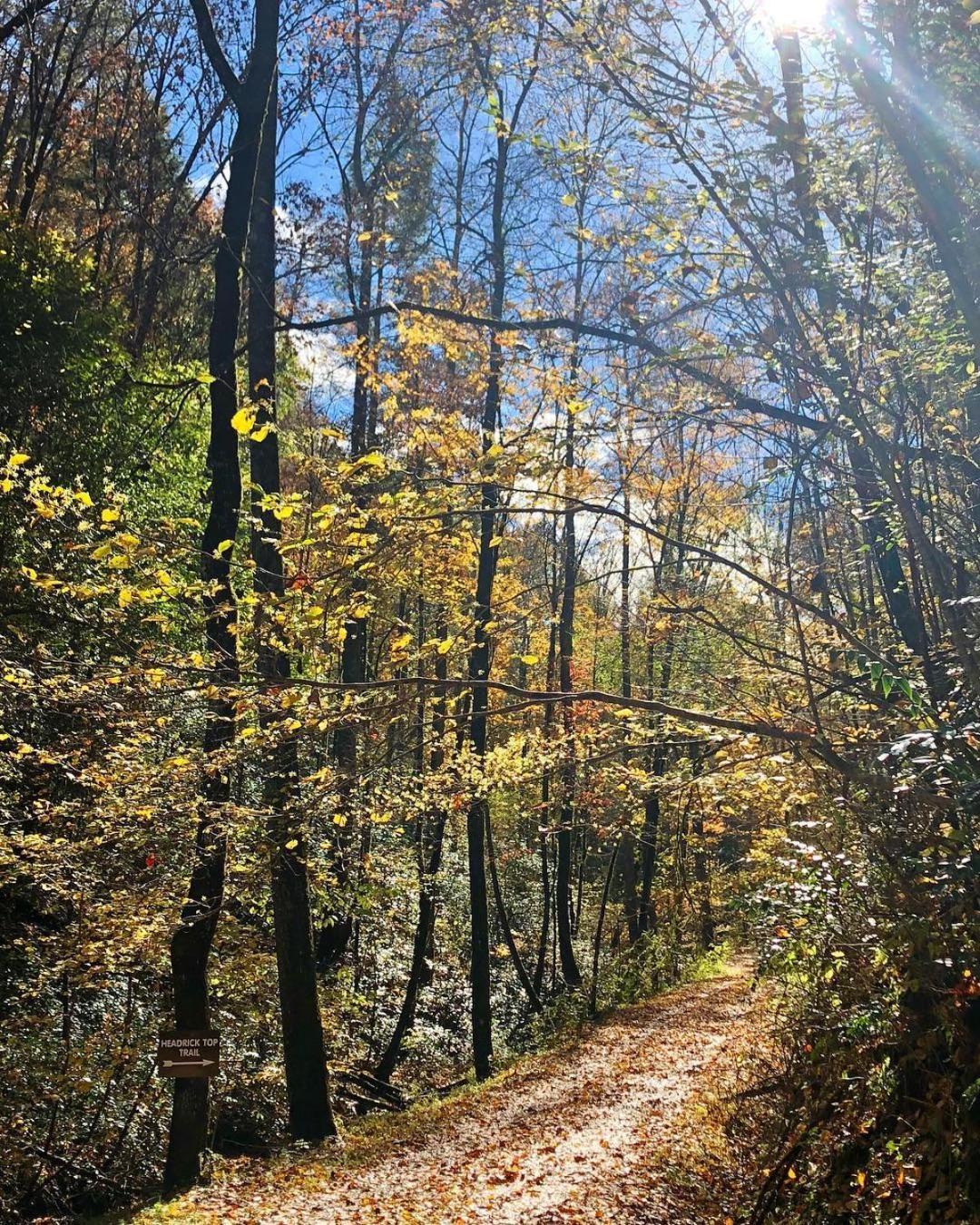 Horseshoe Hideaway Sevierville Luaran gambar